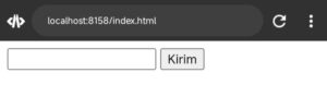 Contoh novalidate attribute