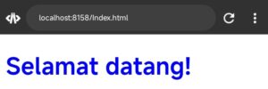 Contoh internal CSS